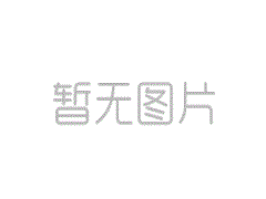 学者丁小平微积分成果评析：为什么要区