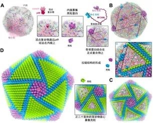 2019年度中国科学十大进展揭晓！