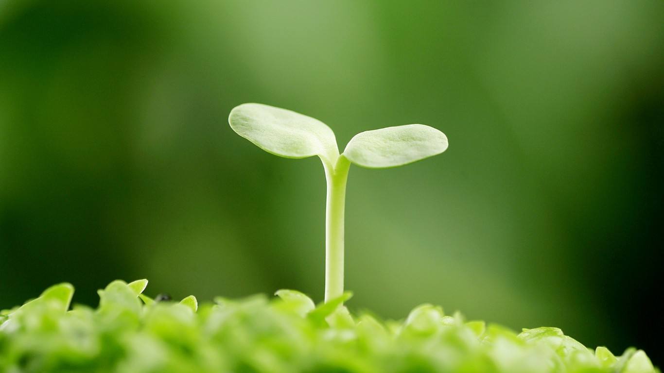 袁隆平：科学研究不问出身 科学面前人人平等