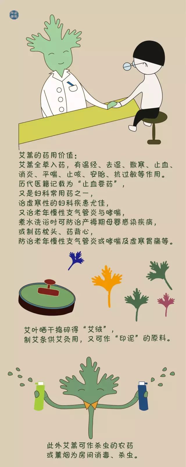 端午到，艾蒿你了解吗？