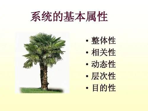 西医院士樊代明我为什么主张中医整体观