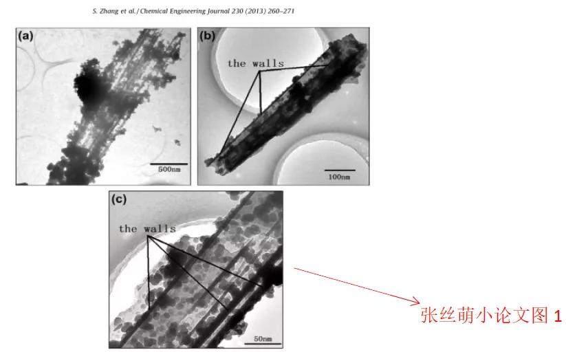123页PDF！实名举报天津大学化工学院张裕卿教授和其女张丝萌学术造假