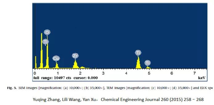 123页PDF！实名举报天津大学化工学院张裕卿教授和其女张丝萌学术造假