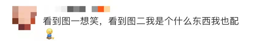 论文不必参考任何文献？看到作者名字，网友：失敬了……