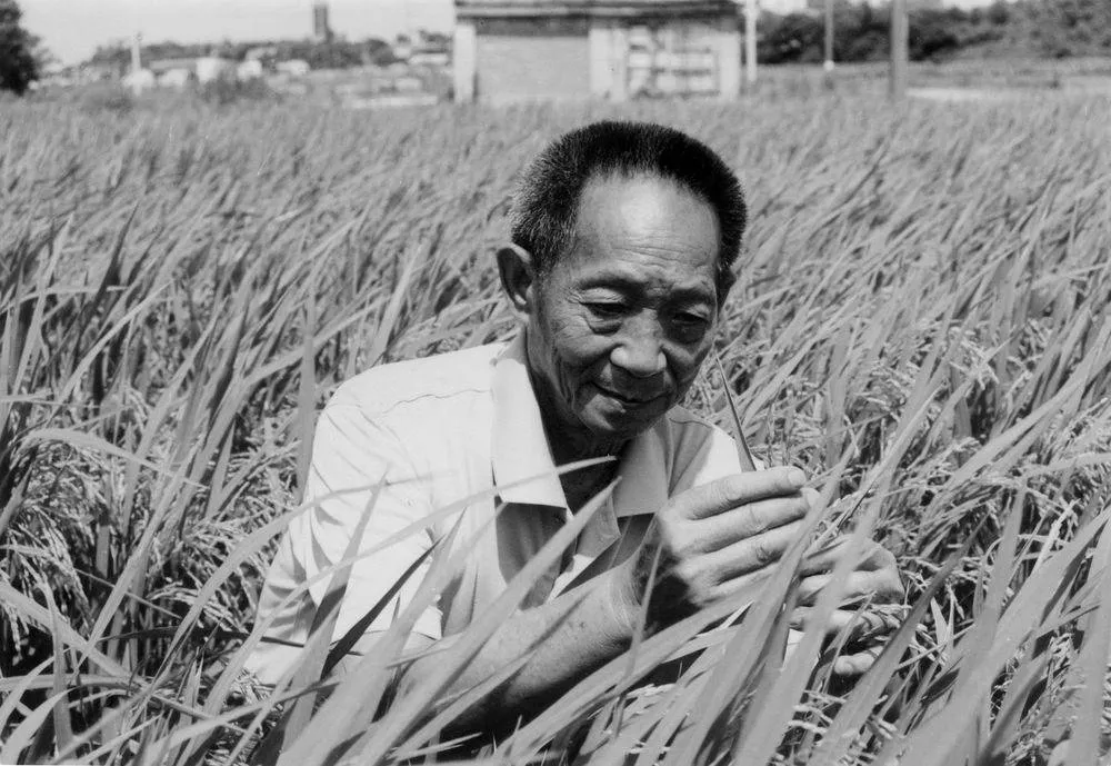 举国哀痛！那个最性情最执着最可爱的农民走了