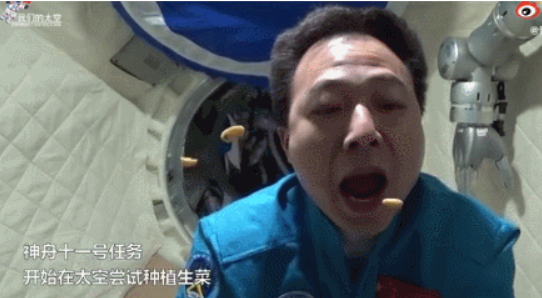 鱼香肉丝、宫保鸡丁、虾仁炒蛋…航天员菜单曝光，我留下了感动的口水…
