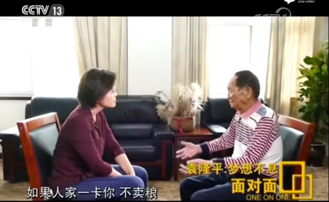 为什么中国需要这颗「种子」？ 