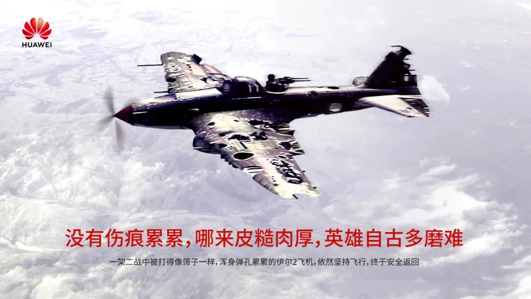为什么中国需要这颗「种子」？ 
