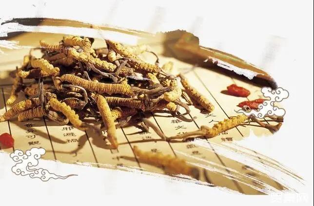 重磅！国家五部门联合发文，“十四五”时期中医药文化传播迎来发展的春天！