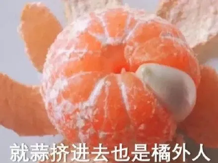 知乎热议20年科研怪状：为何论文创新性越强越难发表，跟风修修补补反而更容易发？