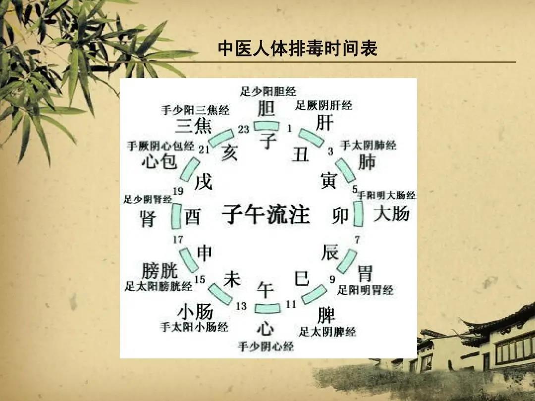 中医，是中国输得最惨的一场战争