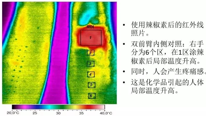 资本绞杀中医，诺奖却在向中医致敬并继续前进