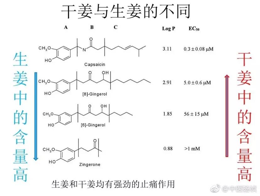 资本绞杀中医，诺奖却在向中医致敬并继续前进