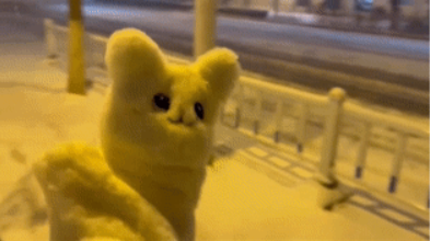 立冬  我有雪，你有故事吗？