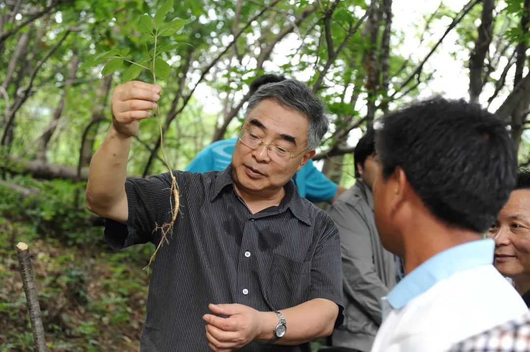 张伯礼：铁骨捍中医，柔肠为人民