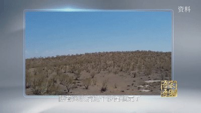 这个专业全国曾只有一人，如今91岁的他说……