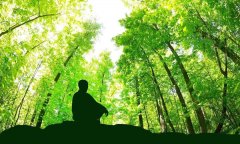 天地生人学术讲座第1390讲 | 郭达成：本能系统医学之自主健康