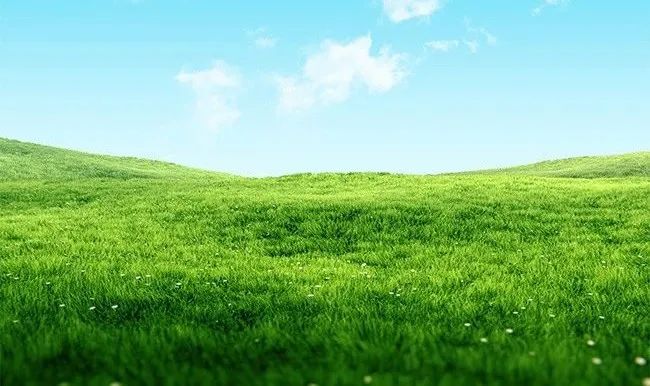 天地生人学术讲座第1503讲 | 曹一民：落实《健康法》，促进“养”“治”共生