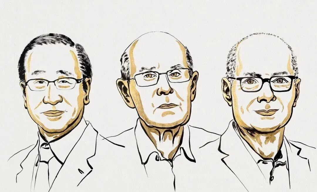 2025诺贝尔奖:物理、化学、医学三大奖项盘点 2025诺贝尔奖:物理、化学、医学三大奖项盘点