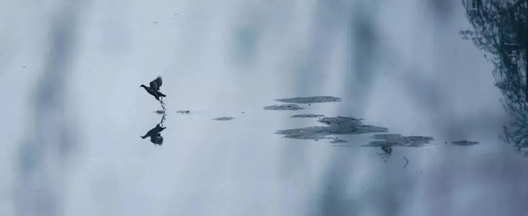 李辛：一个中医眼中的抑郁症