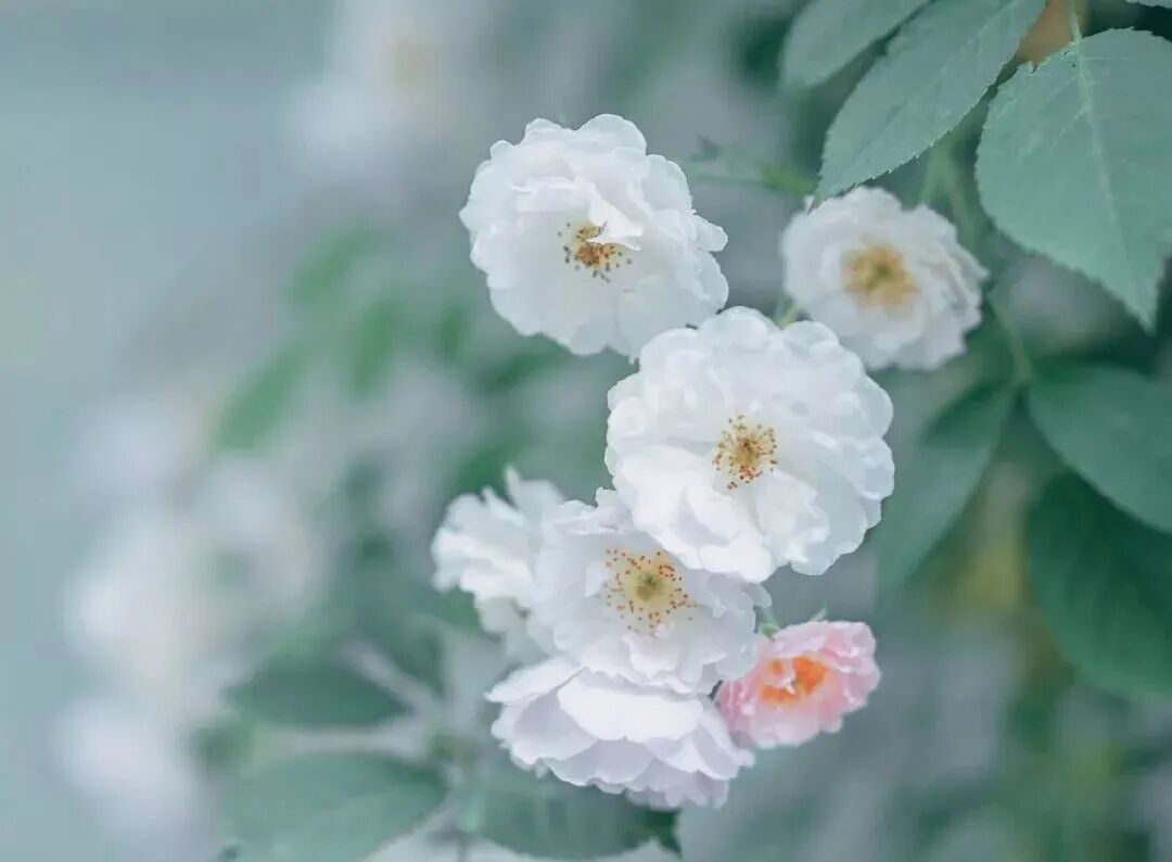 李辛：一个中医眼中的抑郁症