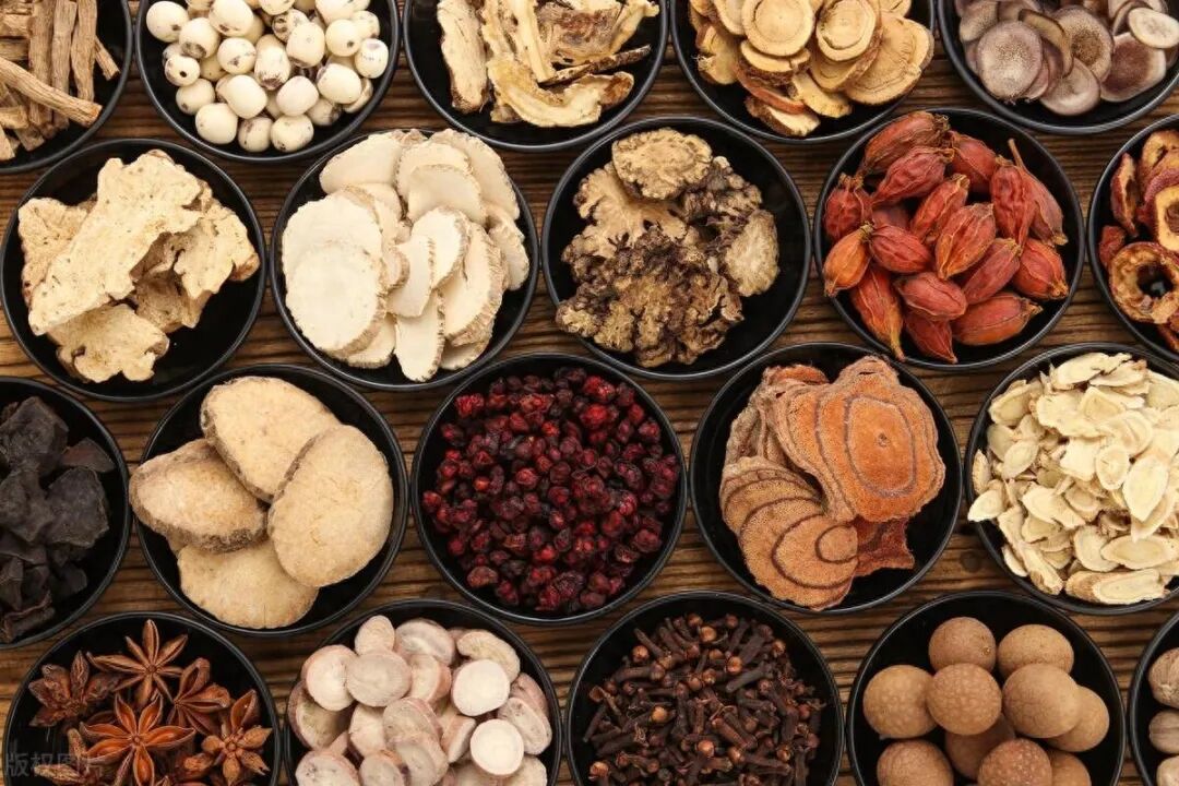 天地生人学术讲座第1523讲｜李伯淳：用传统中药辨识为例正本溯源中华医道——探索用中医打开中华文明宝库