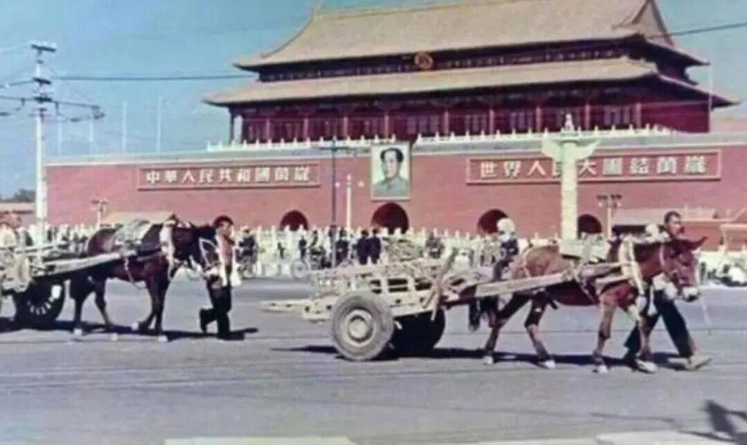 中国核事业耀眼的女性！她被认为能获诺贝尔奖，一生说了三次“我愿意”