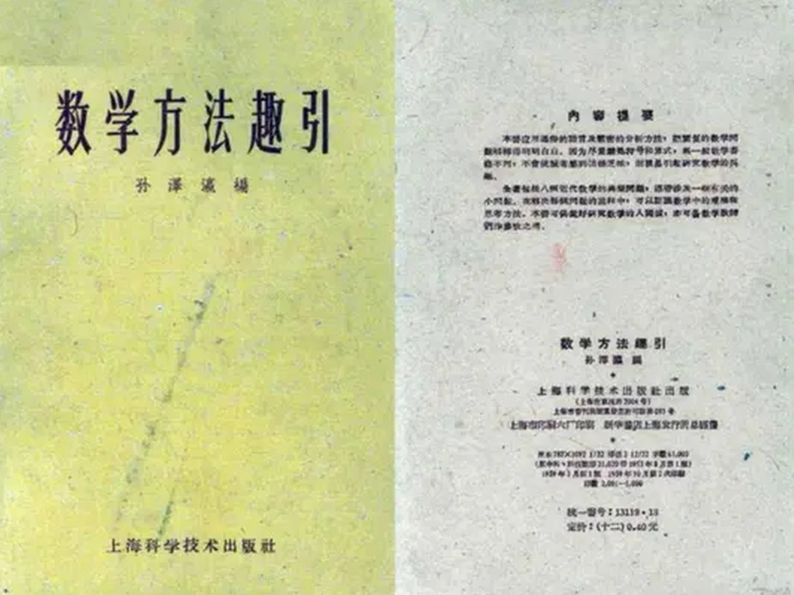 陆家羲等了十八年，丁小平的微积分新思想还要等多久