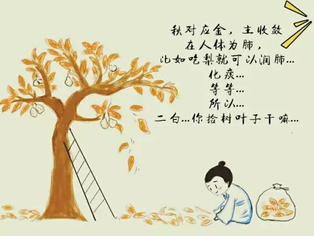 漫画：五行是个蛤？