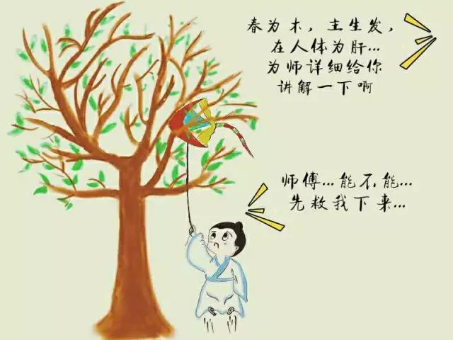 漫画：五行是个蛤？