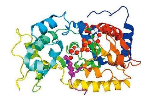  自然科学基金委主任：我国的学科门类划分过细，综合性不足